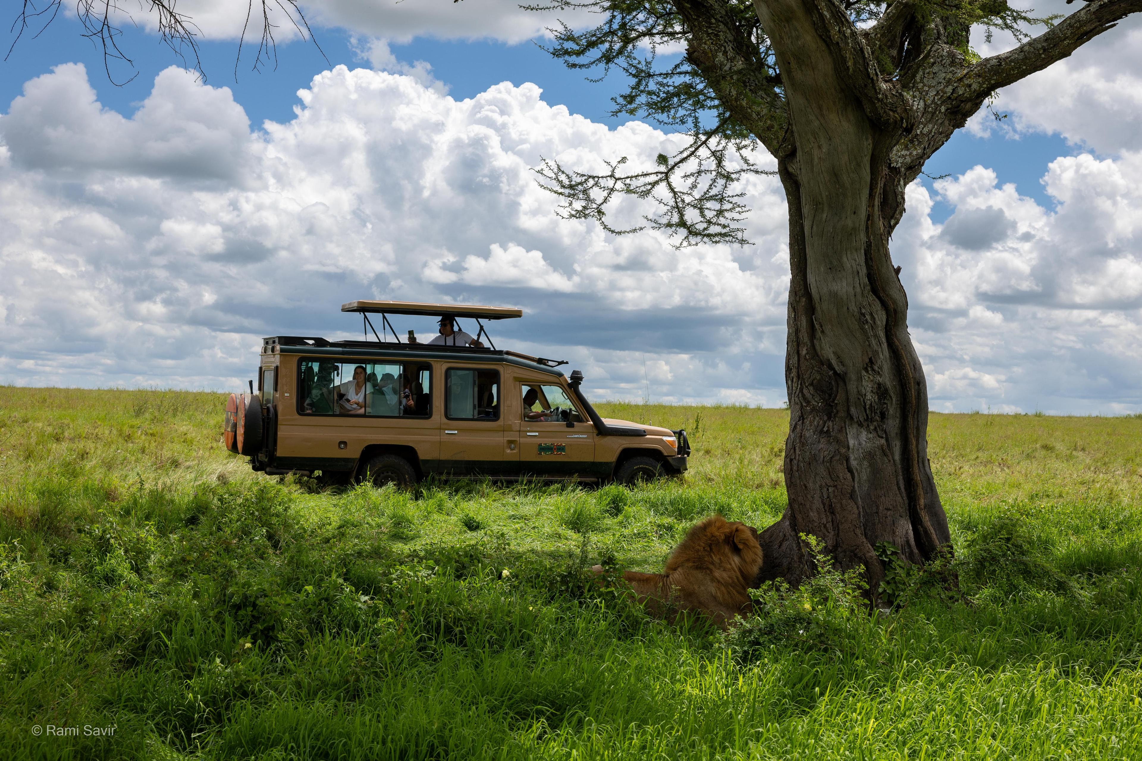 Off-Road Safari Adventure