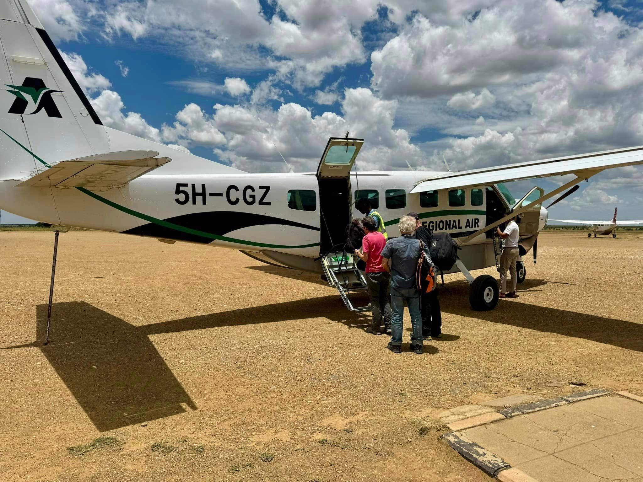 Elephant Aerial View