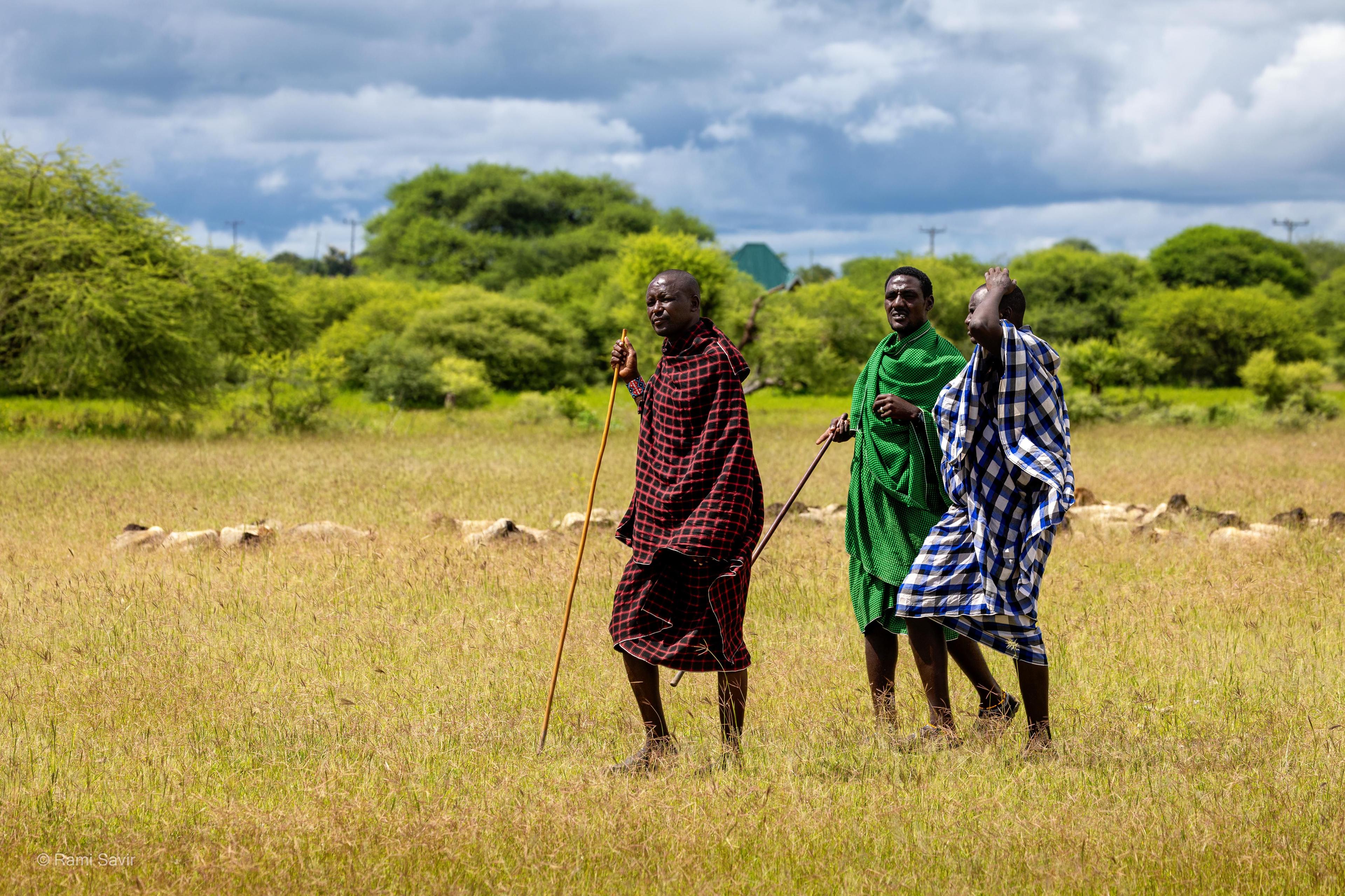Maasai Warriors